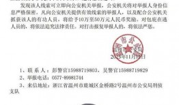 缅北最新爆料消息今天视频,揭秘神秘势力动态
