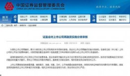 金融最新爆料消息公布信息,揭秘行业动态与市场趋势