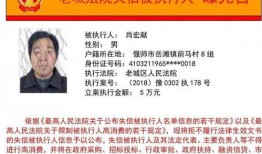 最新爆料执行官是谁呀图片,神秘执行官身份曝光！