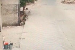 今日揭西爆料视频最新版,揭秘当地热点事件，追踪民生动态