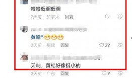情侣最新事件爆料,情侣最新事件引发热议